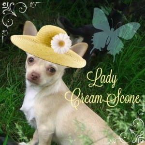 lady_cream_scone_uly16